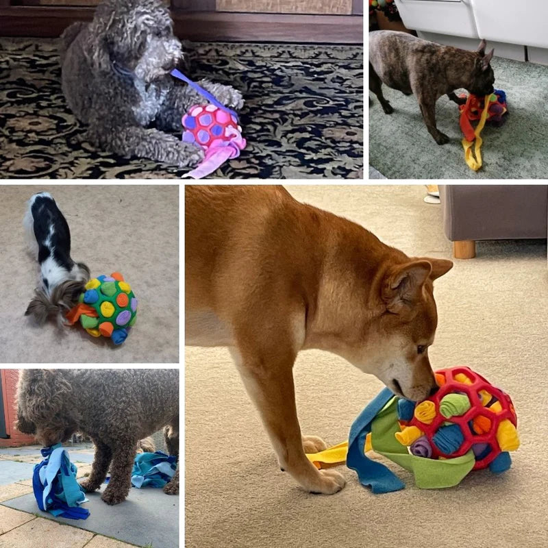🎄Christmas Flash Sale-50% OFF-Dog Enrichment Toy Ball