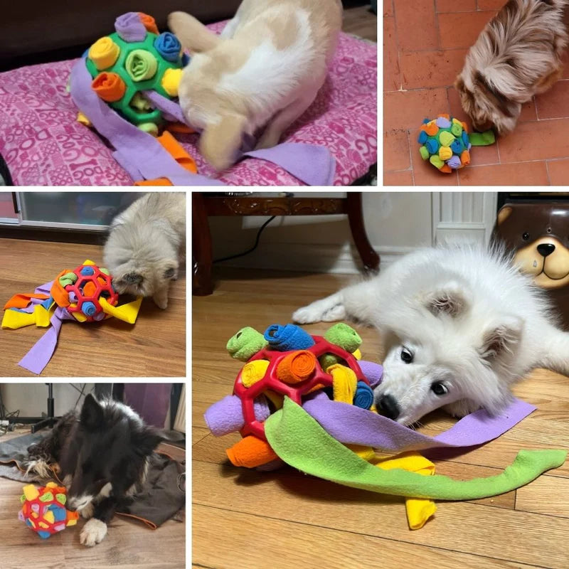 🎄Christmas Flash Sale-50% OFF-Dog Enrichment Toy Ball