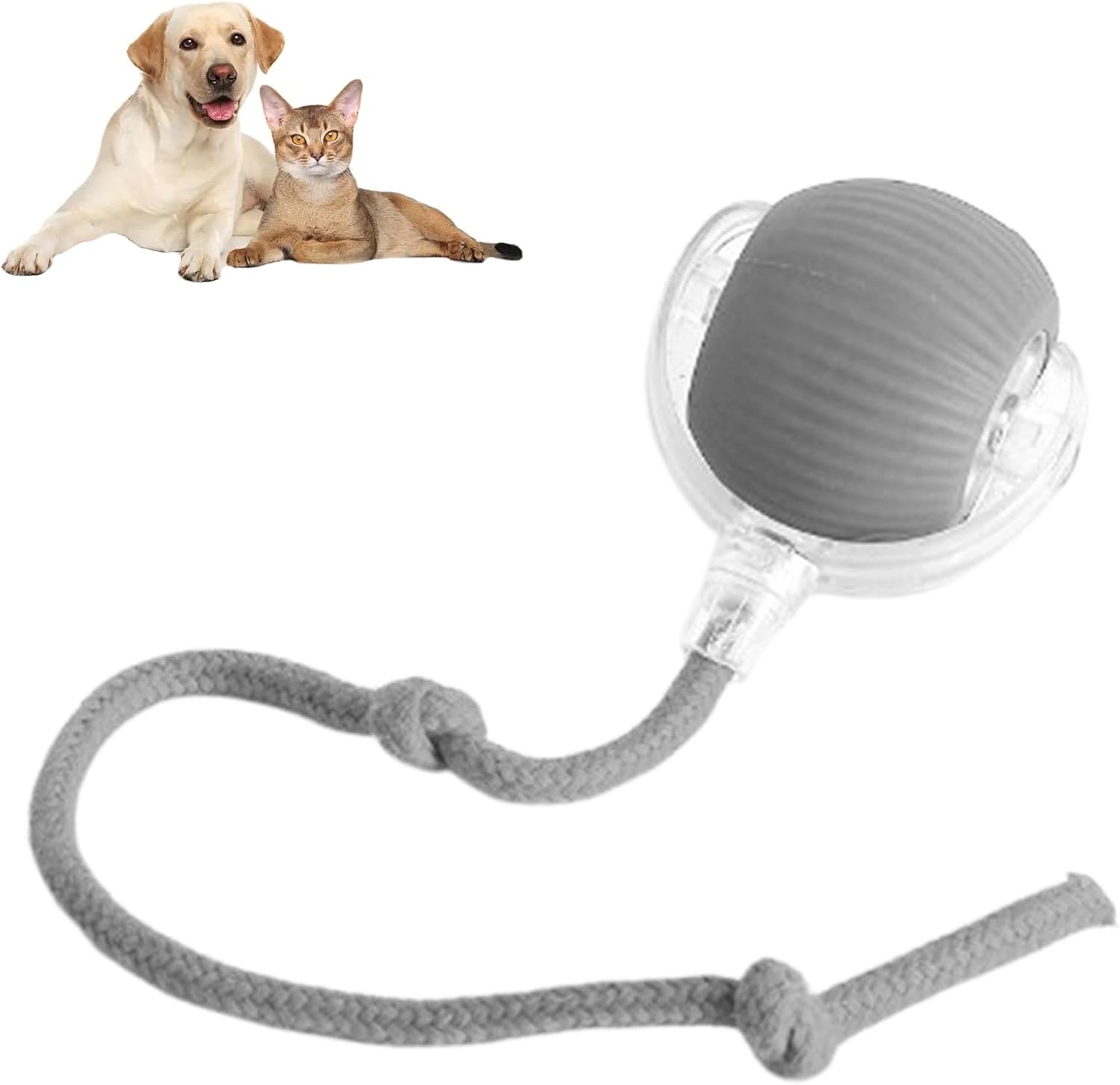 LAST DAY 49% OFF🔥RolliePet Smart Chase Pet Toy
