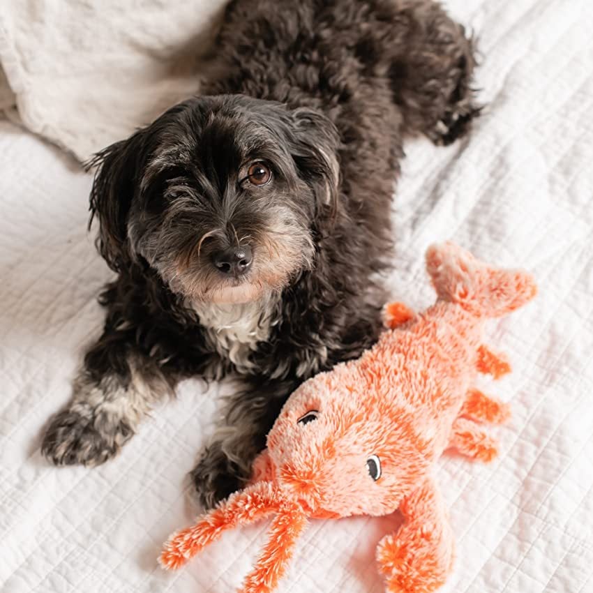 🎄Christmas Flash Sale-50% OFF-Lobster Interactive Dog Toy