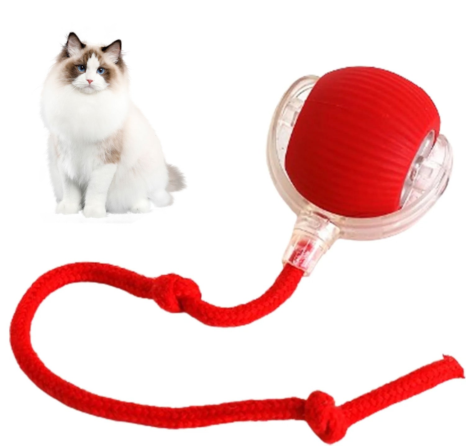 LAST DAY 49% OFF🔥RolliePet Smart Chase Pet Toy