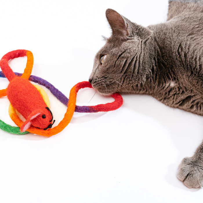 LAST DAY 49% OFF🐀🐱 Wool Mouse Tail Cat Toy