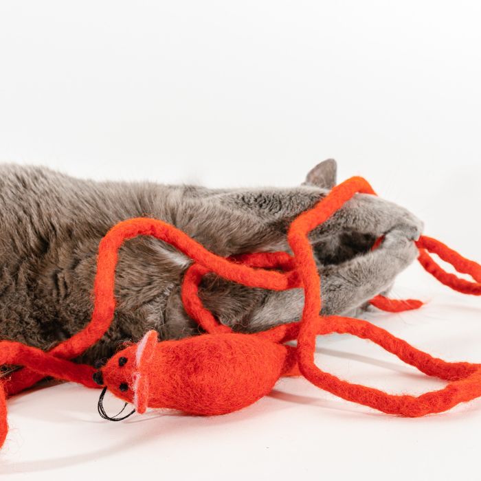 LAST DAY 49% OFF🐀🐱 Wool Mouse Tail Cat Toy