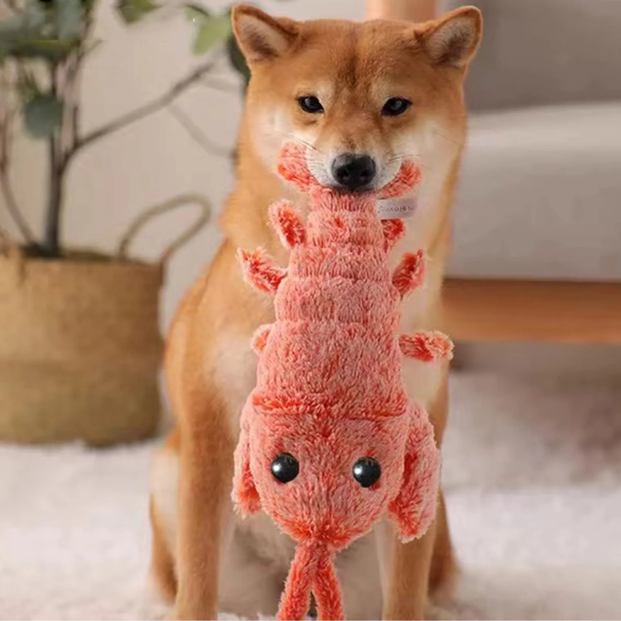 🎄Christmas Flash Sale-50% OFF-Lobster Interactive Dog Toy