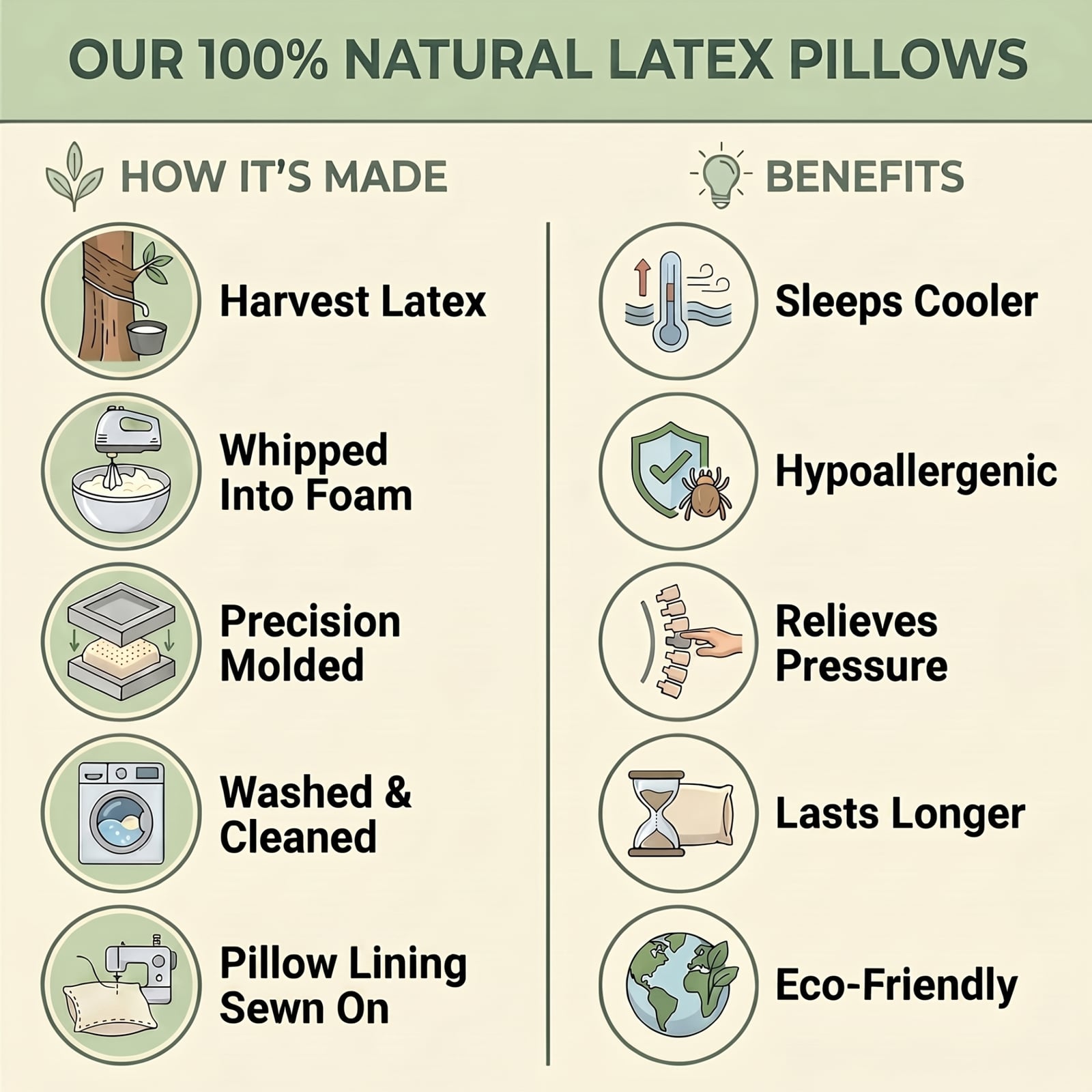 How our 100% natural latex pillows are made — harvest, whip, mold, wash, and sew