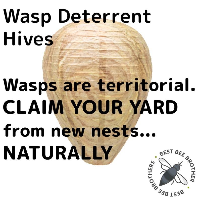 Deterrent Wasp Simulation Hive