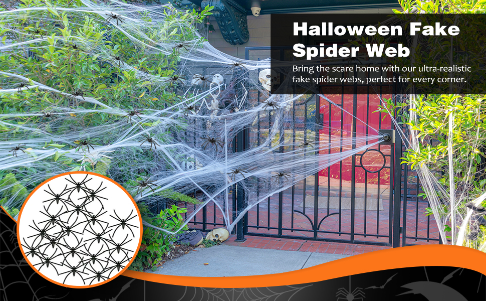 spider web 2025-003