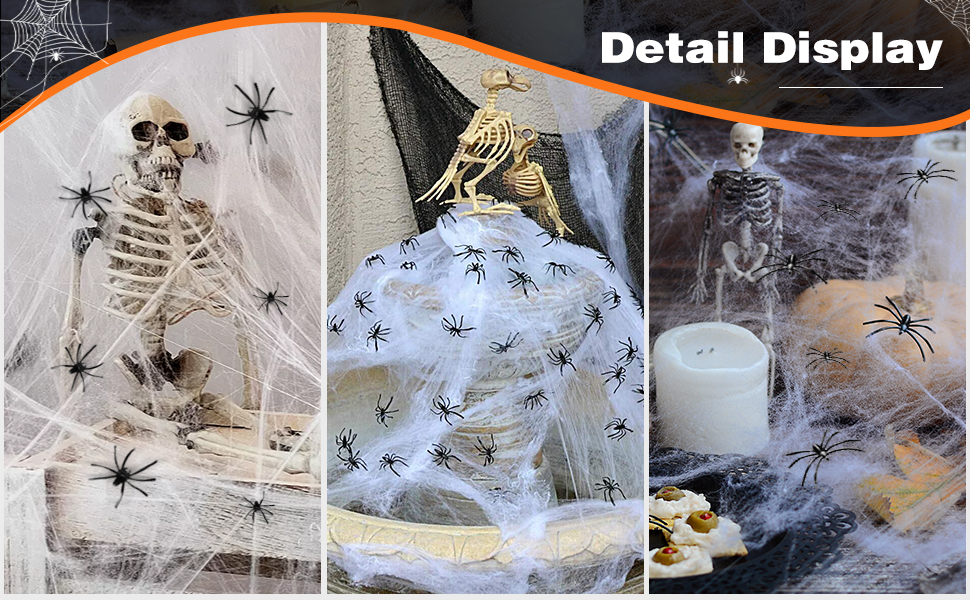 spider web 2025-007