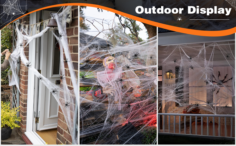 spider web 2025-009