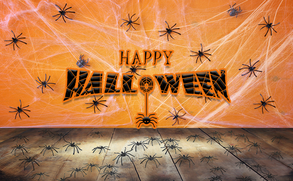 spider web 2025-002