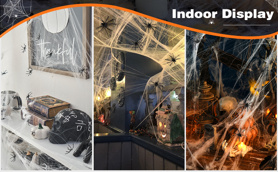 spider web 2025-008