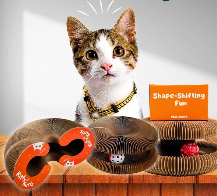 🐱 Shape-Shifting Cat Toy – Transformable Interactive Puzzle with Rolling Balls