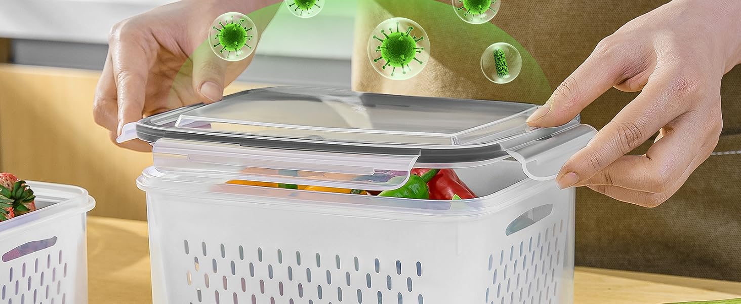 fridge containers