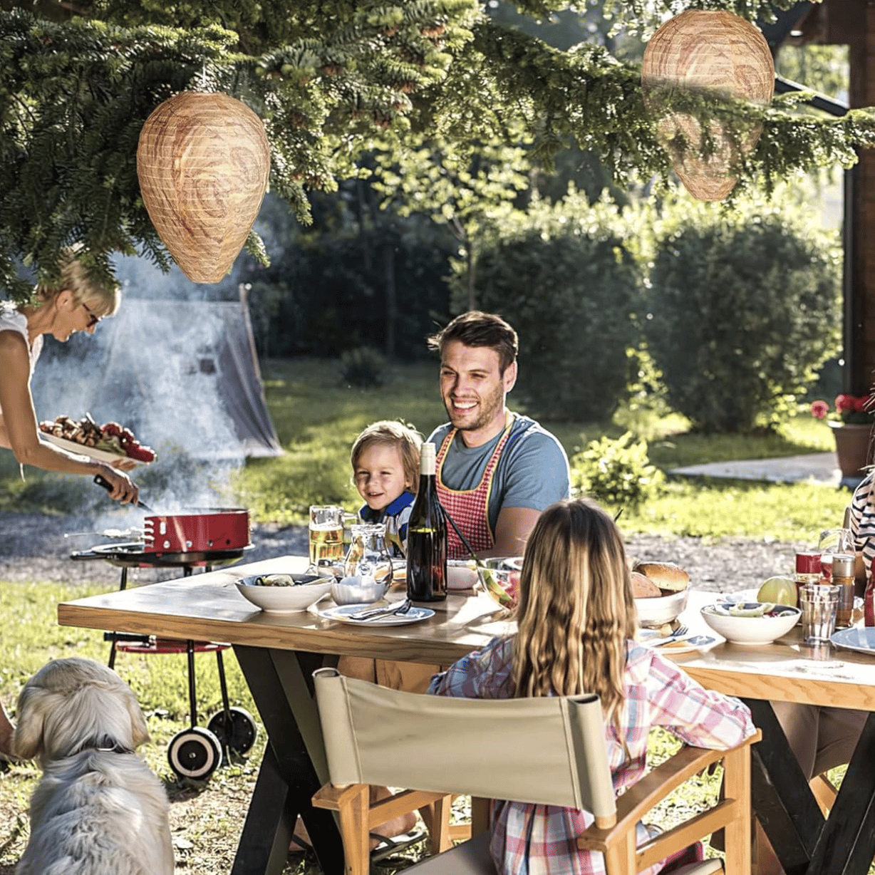 Deterrent Wasp Simulation Hive