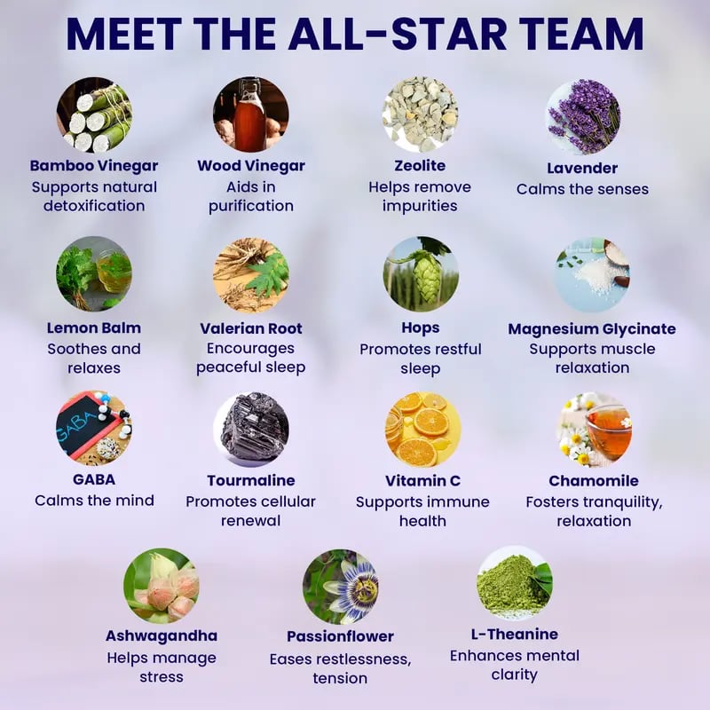 Sole Serenity Zeolite and Ashwagandha Good Night Sleep Detox Foot Pads