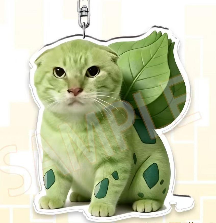 Funny Cat Meme Keychain Set