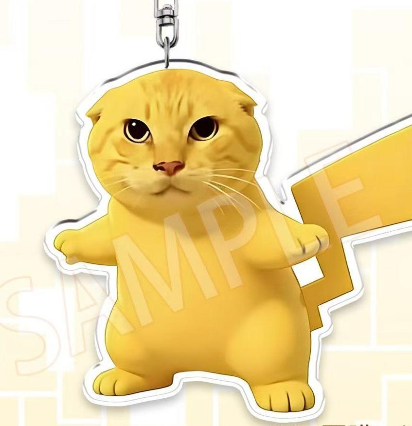 Funny Cat Meme Keychain Set
