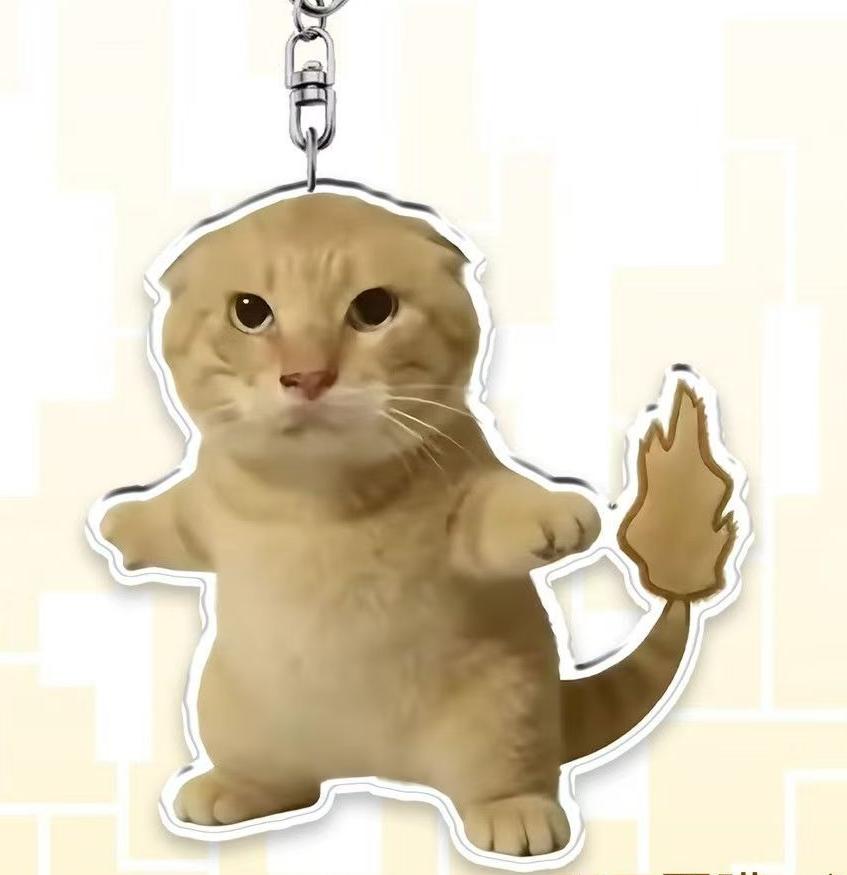 Funny Cat Meme Keychain Set