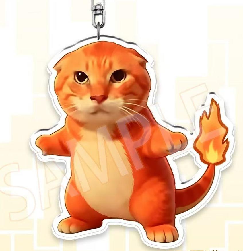 Funny Cat Meme Keychain Set