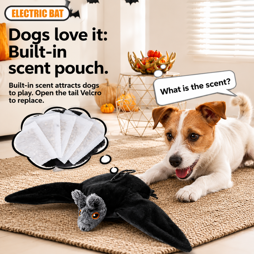 Flying Bat Toy