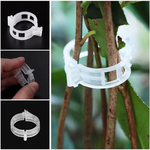 🌱Secured Plastic Plant Clip - 🎁BUY 1 GET 100 PCs