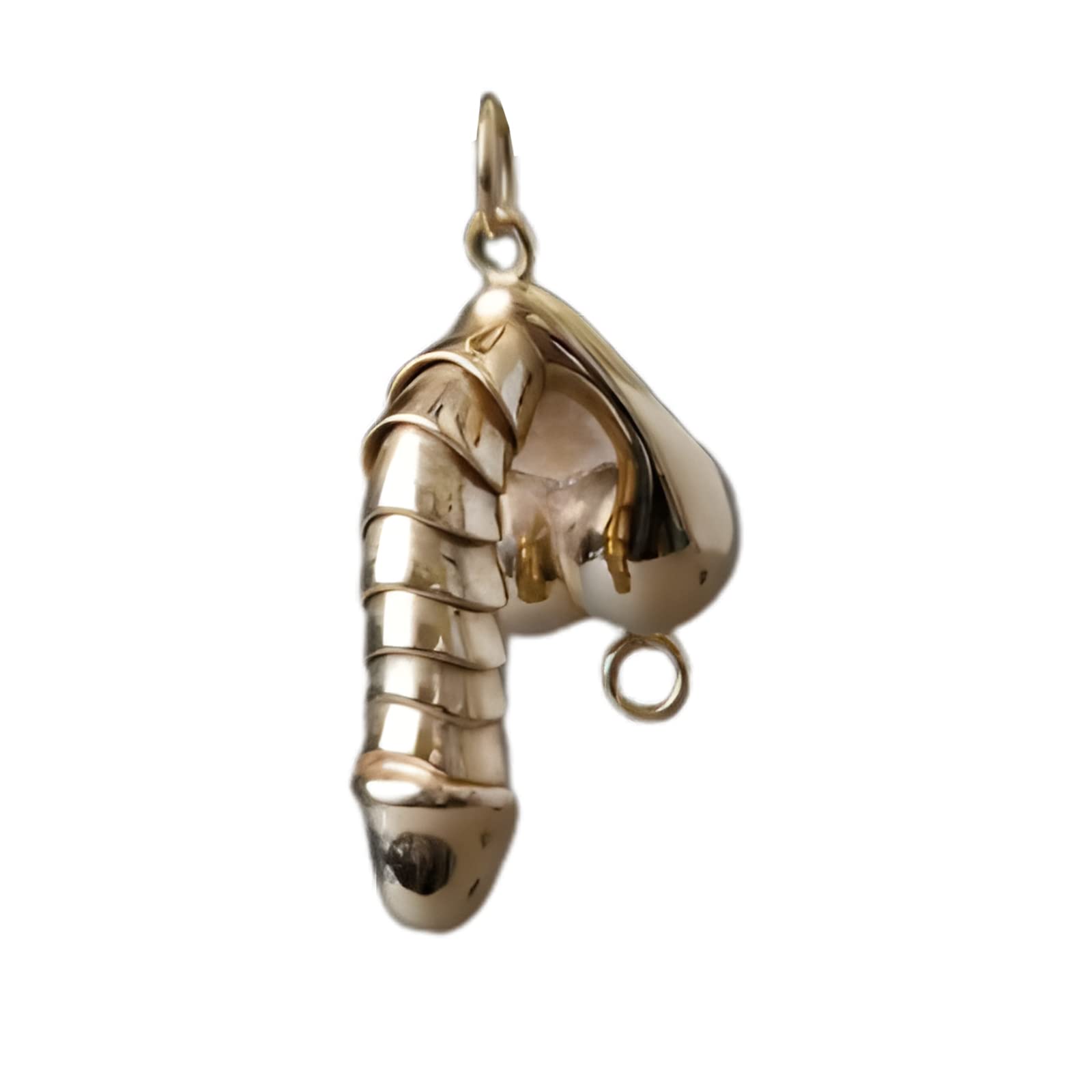 🤣925 Sterling Silver Penis Pendant - 🎁BUY MORE SAVE MORE