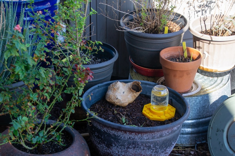 garden essentials