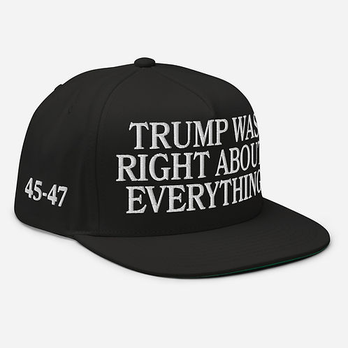 🇺🇸 Trump Was Right About Everything Hat 🇺🇸