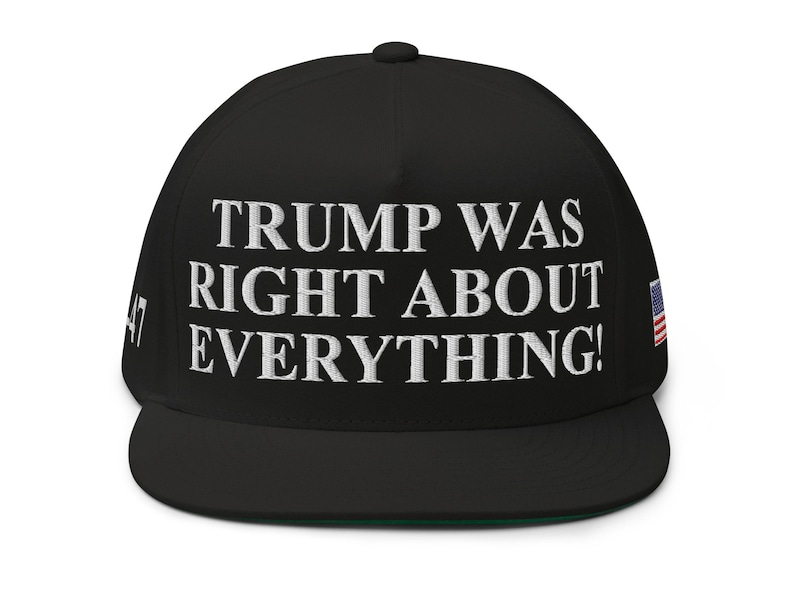 🇺🇸 Trump Was Right About Everything Hat 🇺🇸