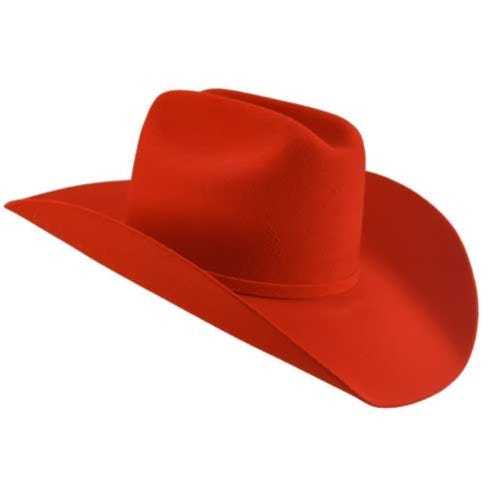 Chapeau de cowboy 20x Lightning