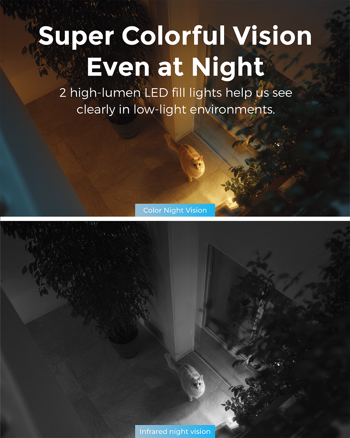 Devo C10 Smart Security Camera