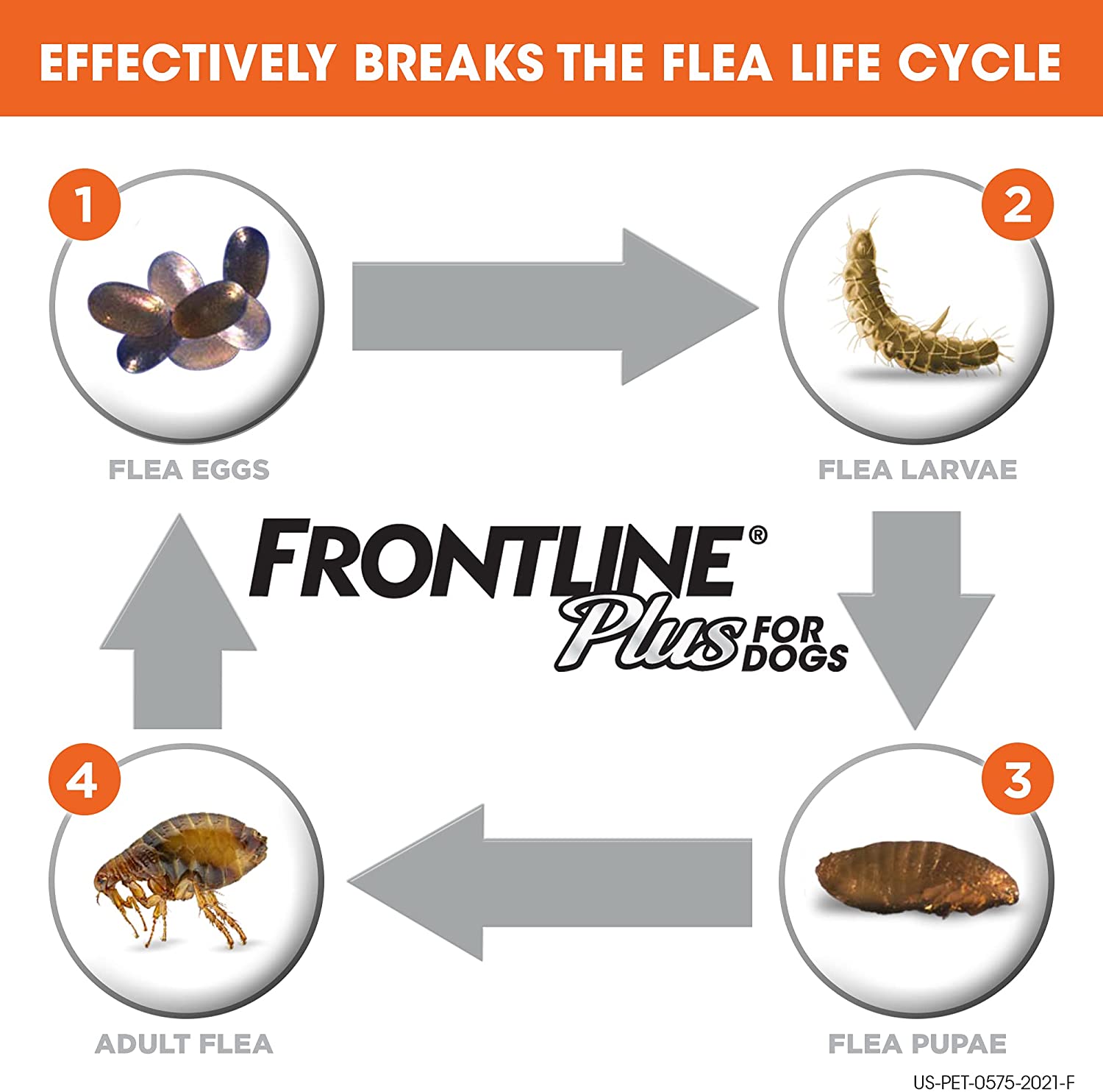 FRONTLINE® Plus for Dogs Flea and Tick Treatment