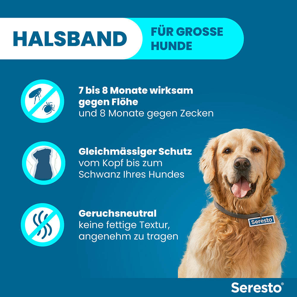 Seresto Halsband für große Hunde | ab 8 kg 