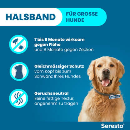 Seresto Halsband für große Hunde | ab 8 kg 