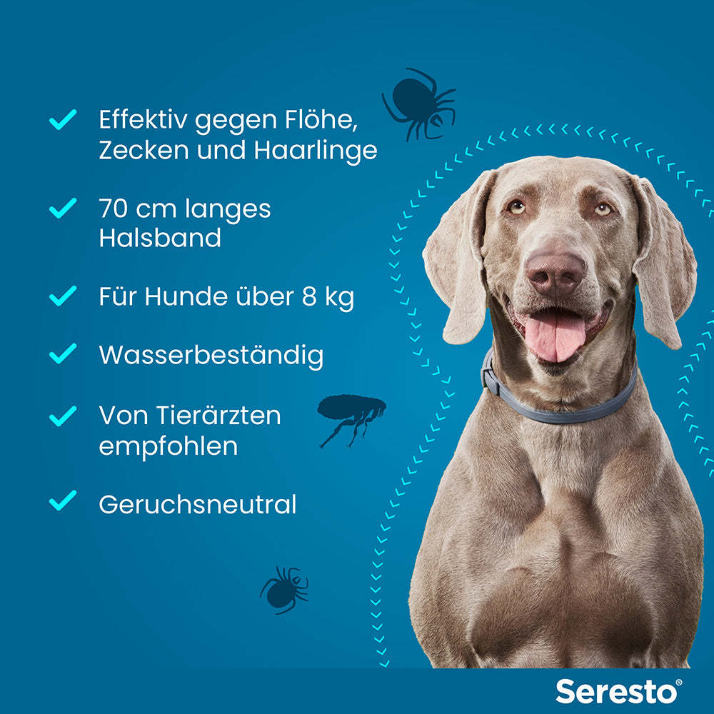 Seresto Halsband für große Hunde | ab 8 kg 