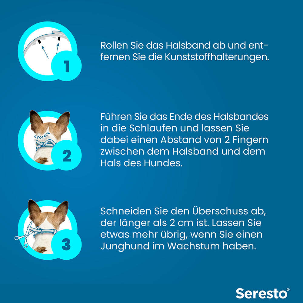 Seresto Halsband für große Hunde | ab 8 kg 