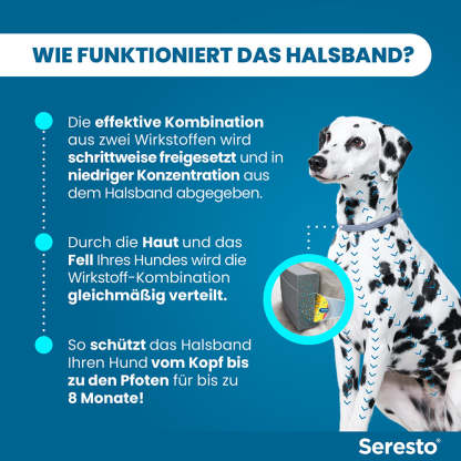 Seresto Halsband für große Hunde | ab 8 kg 