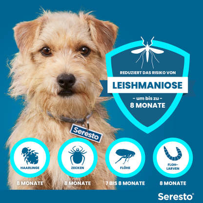 Seresto Halsband für kleine Hunde | bis 8 kg