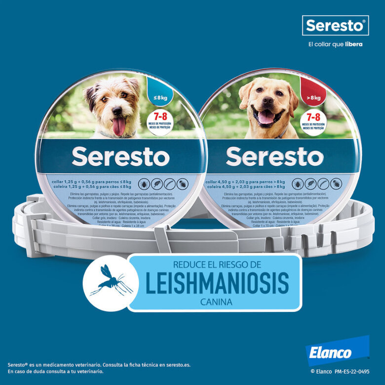 Seresto Collar Antiparasitario para perros
