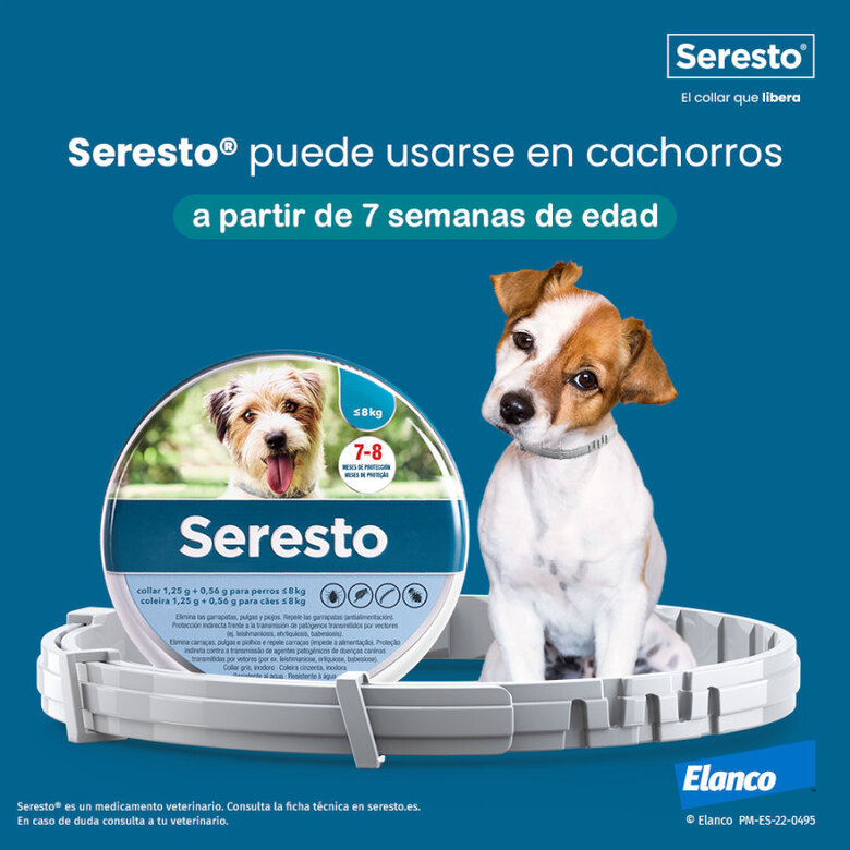 Seresto Collar Antiparasitario para perros
