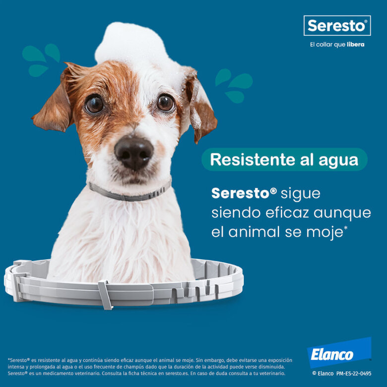 Seresto Collar Antiparasitario para perros