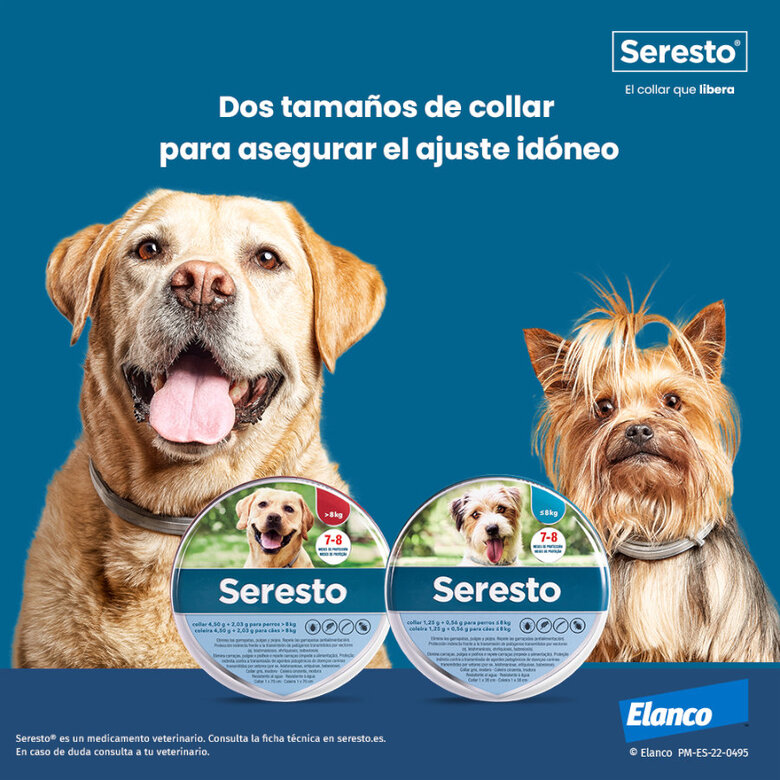 Seresto Collar Antiparasitario para perros