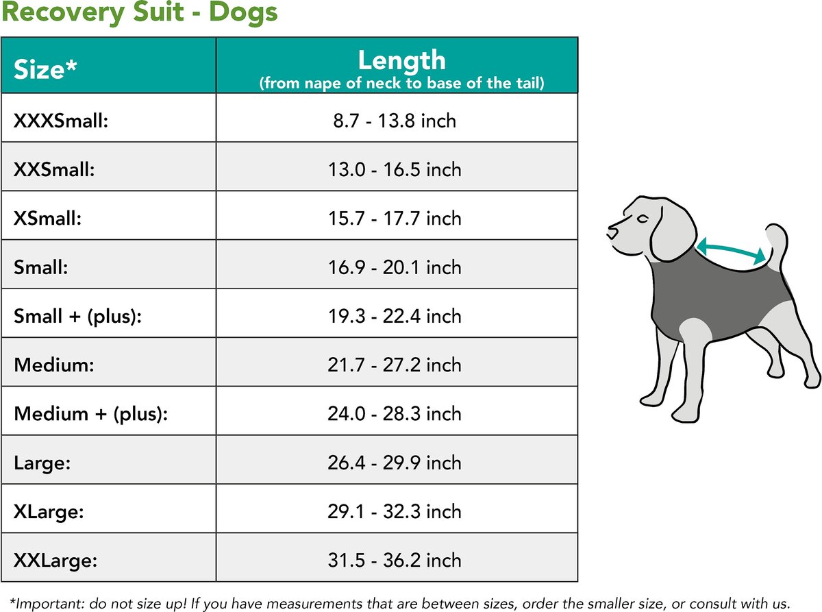 Suitical Recovery Suit for Dogs