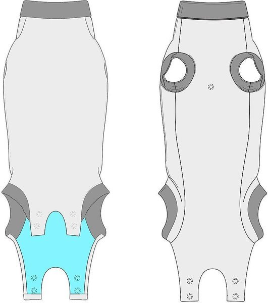 Calm Paws Recovery Caring Cat Collar