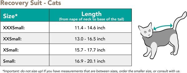 Calm Paws Recovery Caring Cat Collar