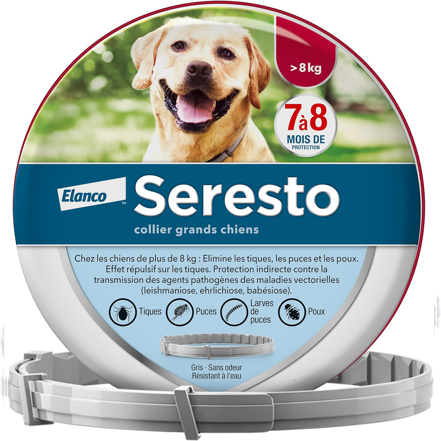 Seresto Colliers  Elanco Bayer  pour Chiens Anti-puce et Anti-tique | Protection de 8 mois