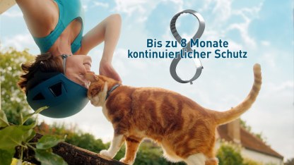 Seresto Halsband für Katzen