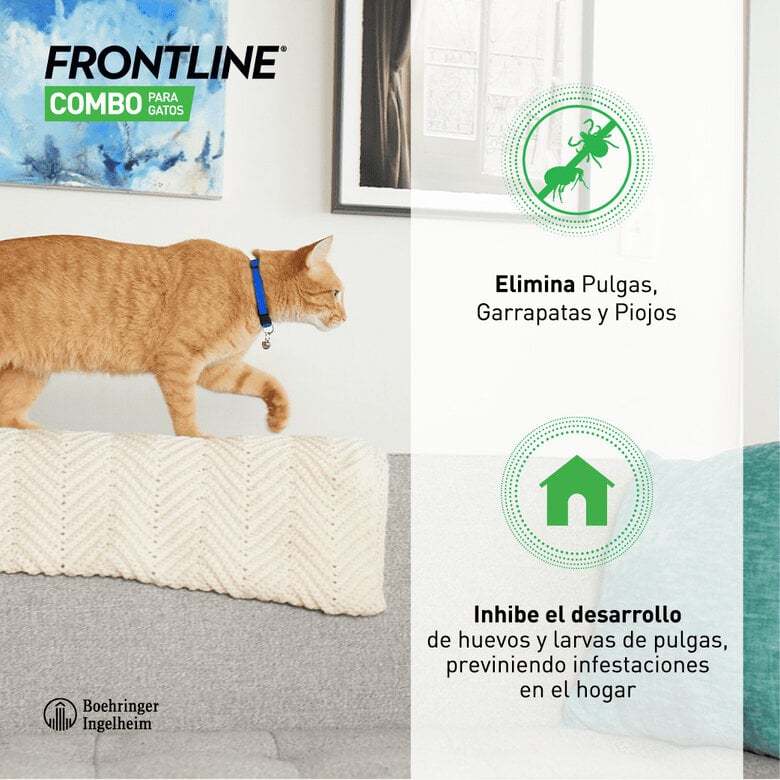 Frontline®Combo Pipetas Spot-On para Gatos