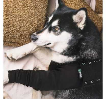 Suitical Recovery Sleeve for Dogs
