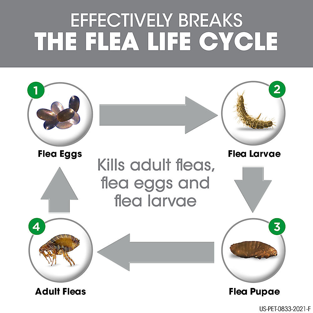 Frontline Plus Flea and Tick Treatment for Cats and Kittens